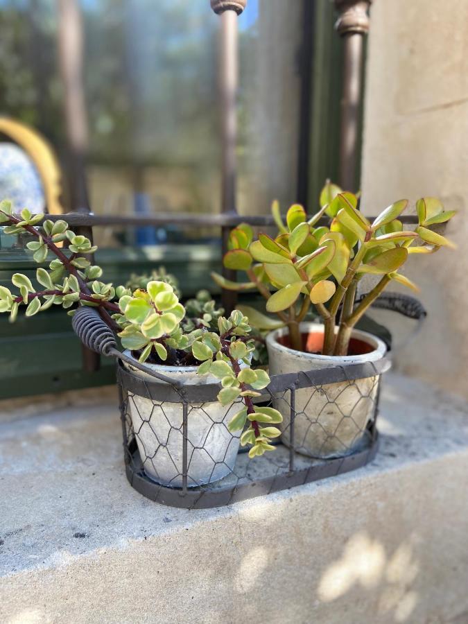 Le Jardinet De Rosa Maison De Village Eygalieres  Ngoại thất bức ảnh