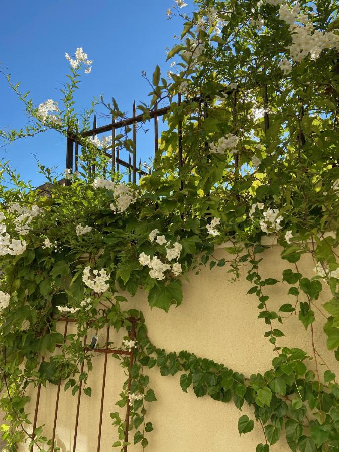 Le Jardinet De Rosa Maison De Village Eygalieres  Ngoại thất bức ảnh